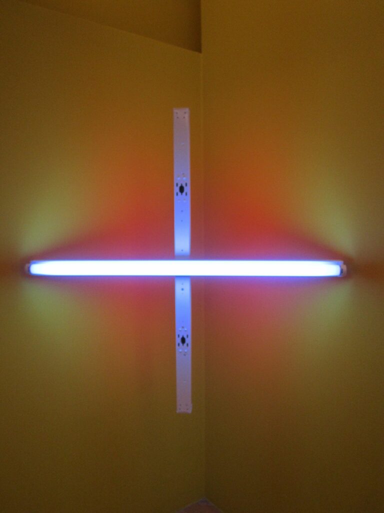 Dan Flavin