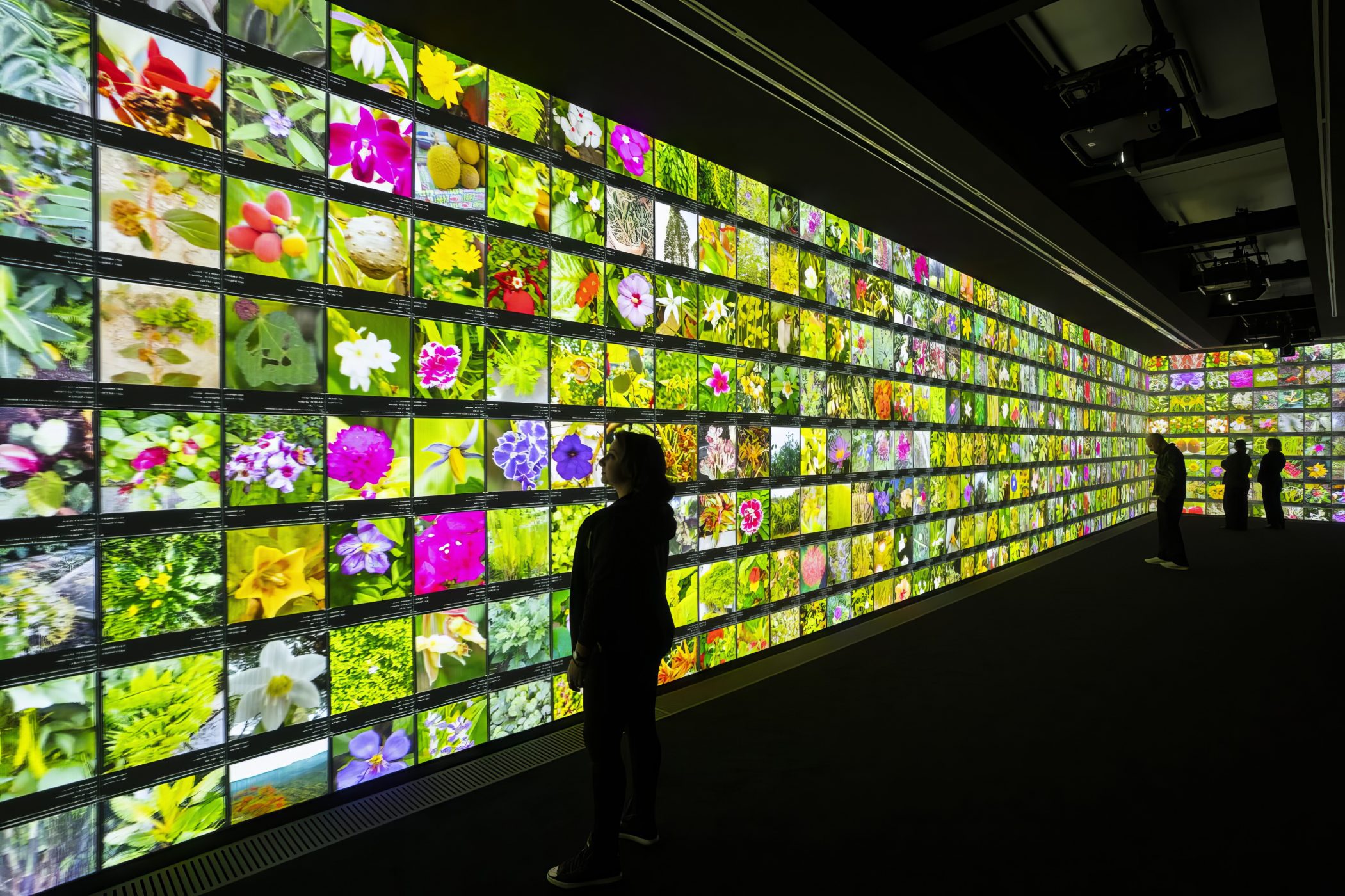 Echoes of the Earth: Living Archive