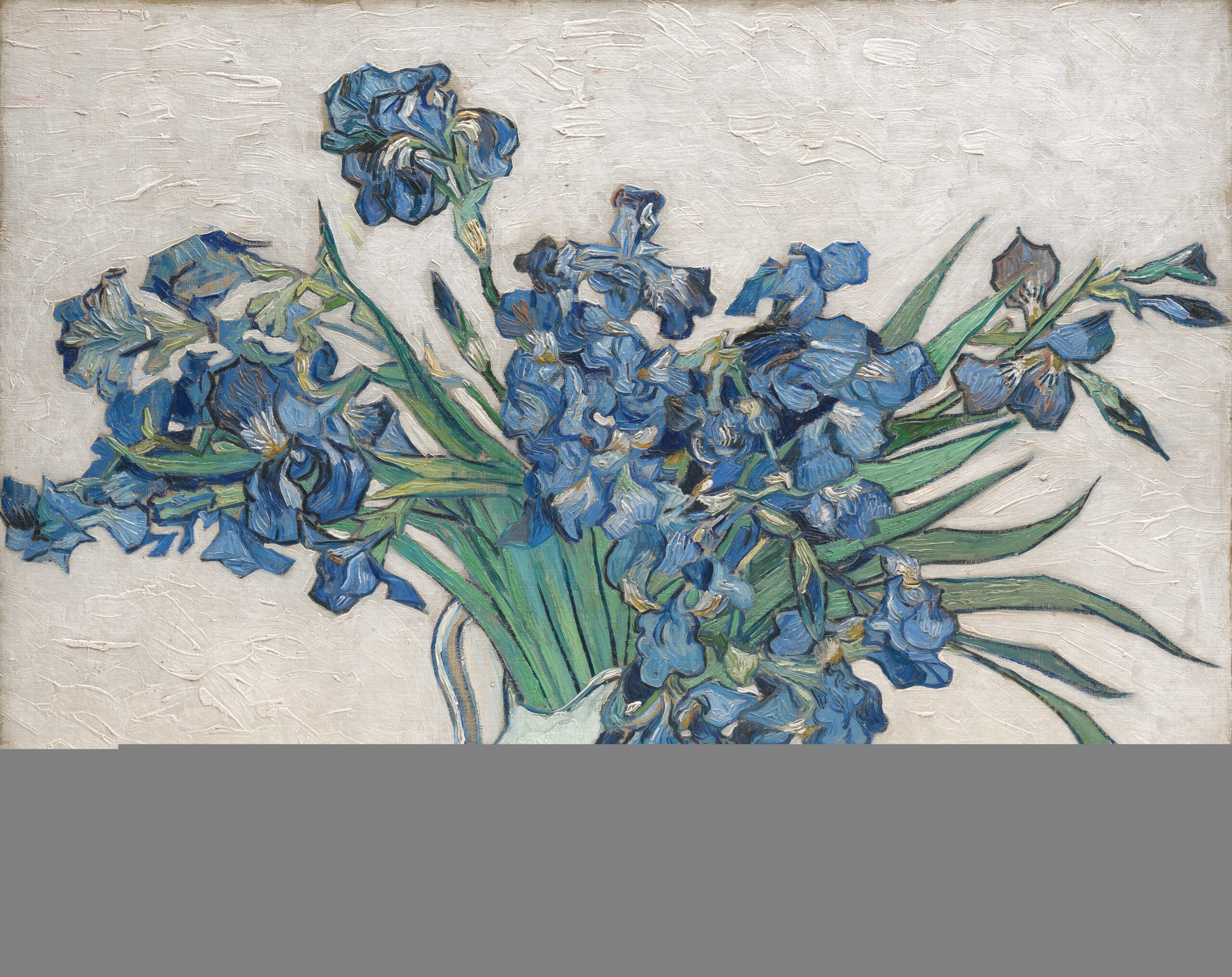 Irises